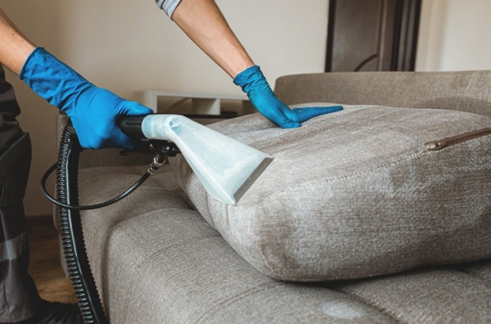 Rekomendasi Jasa Cuci Sofa di Surabaya
