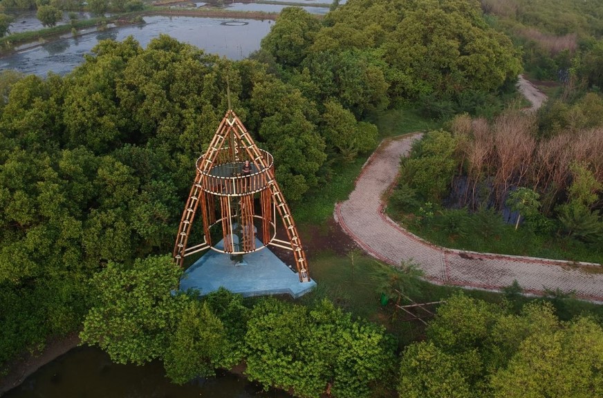 Kebun Raya Mangrove Gunung Anyar Surabaya, Foto kompas.com