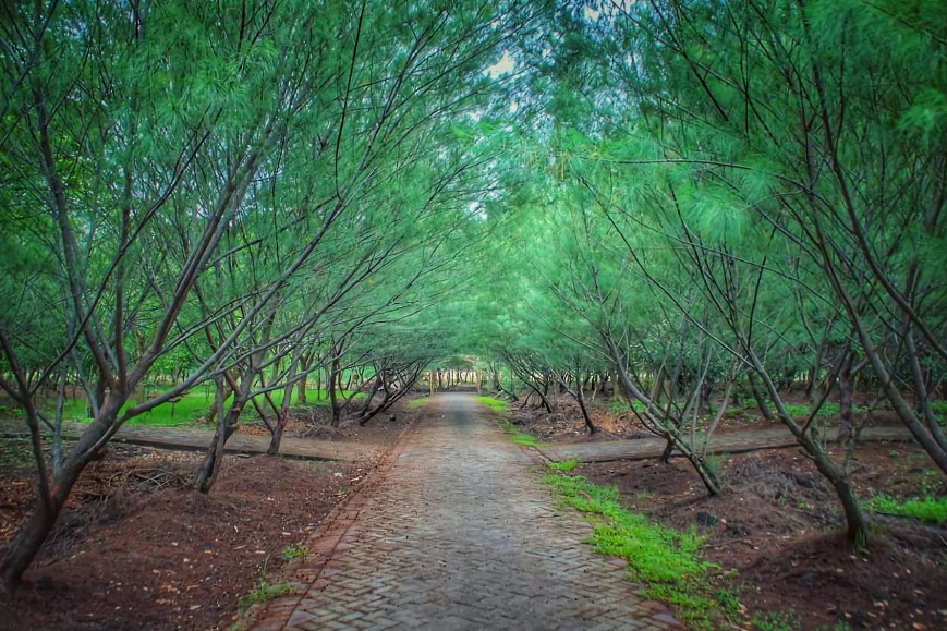 Hutan Kota Pakal Surabaya, Foto zjglidcehtsqqqhbdxyp.supabase.co